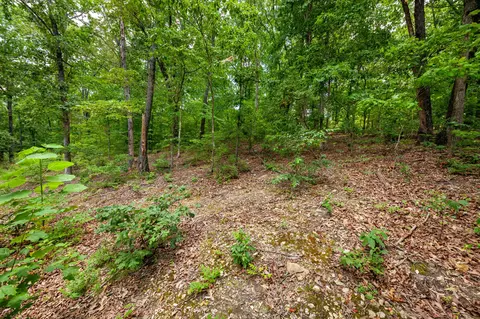 0 Hickman Spgs, Centerville, TN 37033 photo 28