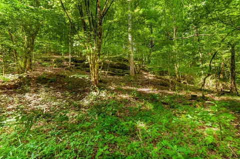 0 Hickman Spgs, Centerville, TN 37033 photo 9
