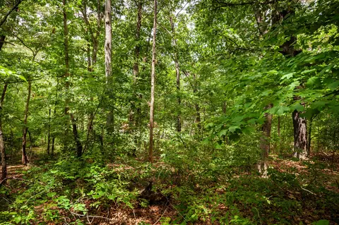 0 Hickman Spgs, Centerville, TN 37033 photo 25