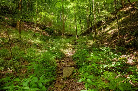 0 Hickman Spgs, Centerville, TN 37033 photo 3