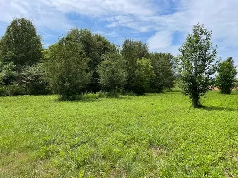 869 Grove Rd, Morrison, TN 37357 photo 5