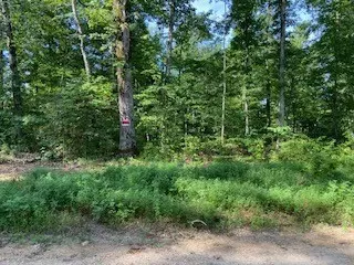 0 Haist, Hohenwald, TN 38462
