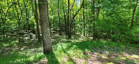 237 Bone Cave Rd, Rock Island, TN 38581 photo 15