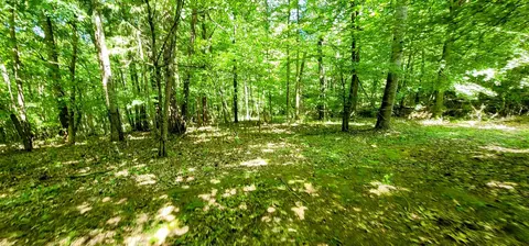 237 Bone Cave Rd, Rock Island, TN 38581 photo 55