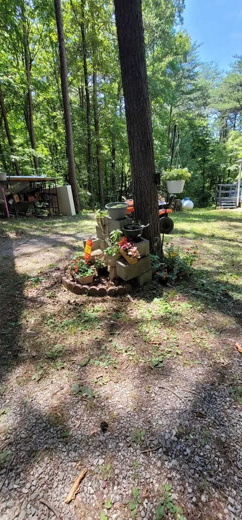 237 Bone Cave Rd, Rock Island, TN 38581 photo 19