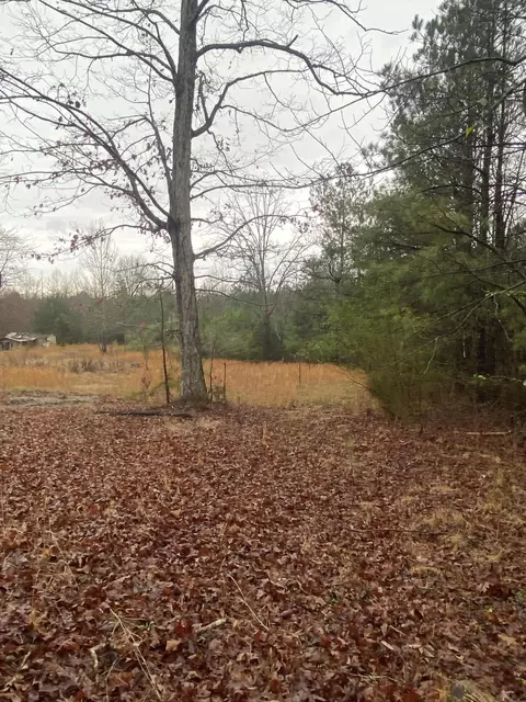105 Broyles Ln, Old Fort, TN 37362