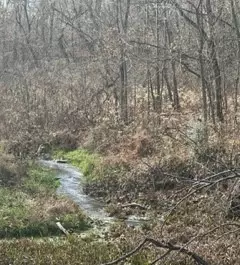 1887 Tobacco Port Rd, Bumpus Mills, TN 37028