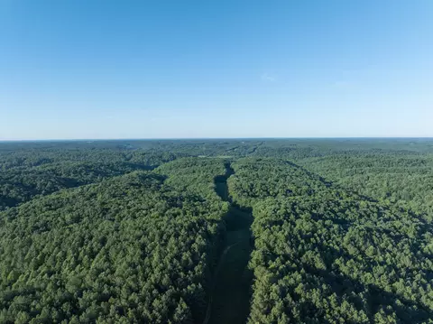 0 Slippery Rd, Hohenwald, TN 38462