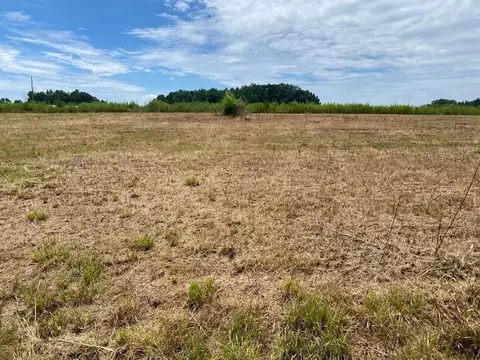 1811 Betterton Rd, Walling, TN 38587 photo 4