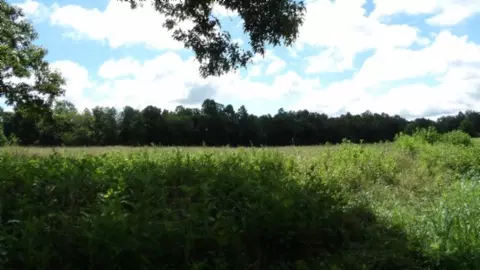 8 Ac Sugar Creek Rd, Gainesboro, TN 38562