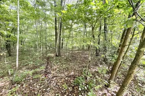0 Fern Pl, Monterey, TN 38574