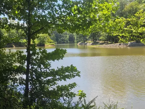 21 Twin Peaks Cv, Bath Springs, TN 38311