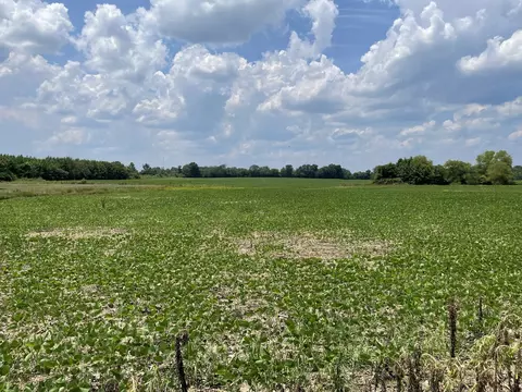 0 Jonestown Rd, Summertown, TN 38483