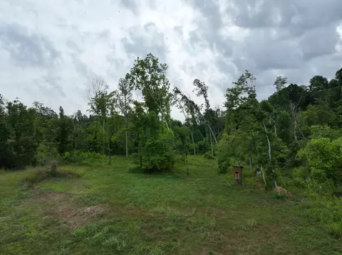 1047 E Piney Rd, Dickson, TN 37055 photo 8