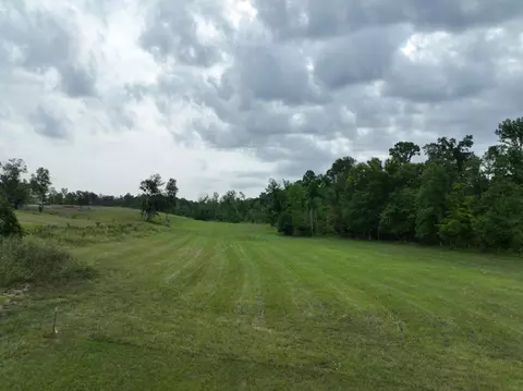 1047 E Piney Rd, Dickson, TN 37055 photo 4