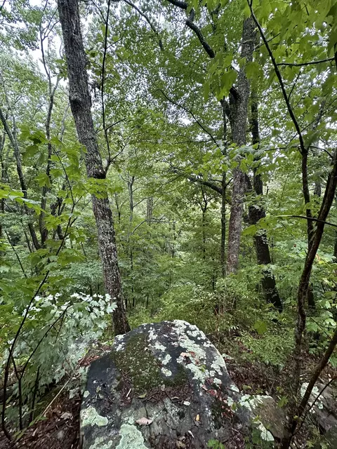 0 Old Ingman Rd, Tracy City, TN 37387
