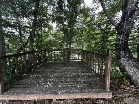 671 Peach Ave, Morrison, TN 37357 photo 66