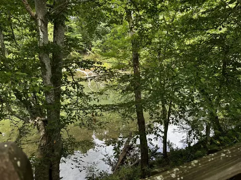 671 Peach Ave, Morrison, TN 37357 photo 68