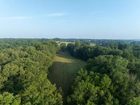 383 Cedar Park Dr, Centerville, TN 37033 photo 8