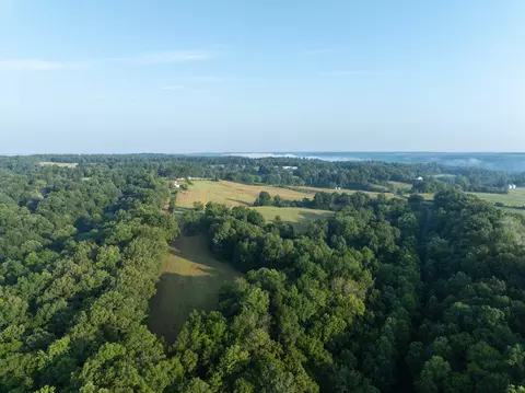 383 Cedar Park Dr, Centerville, TN 37033 photo 10