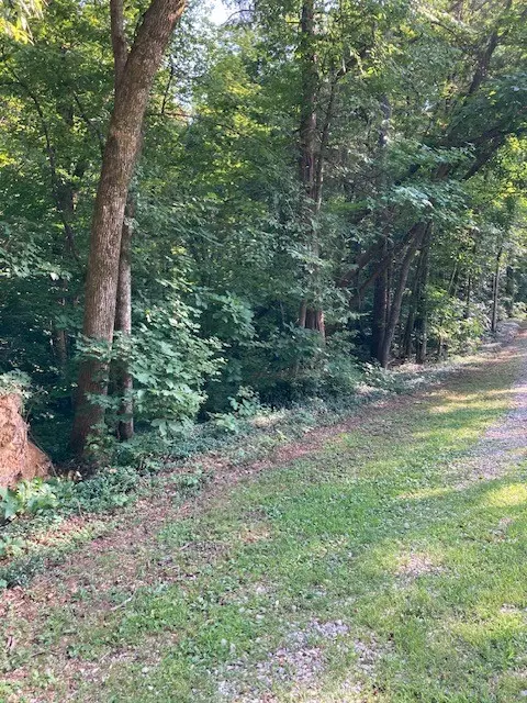 550 Hill Orchard Cem Ln, Stewart, TN 37175