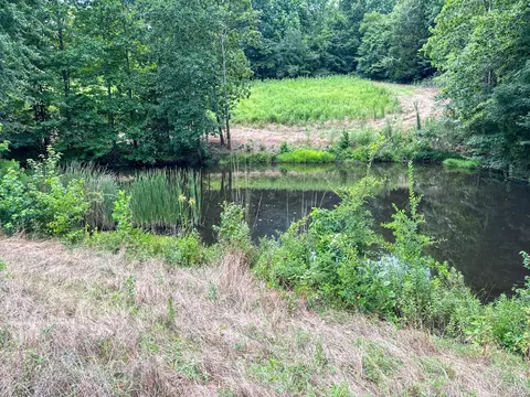 View/Area - 439 Appleton Rd, Five Points, TN 38457 photo 8 of 11