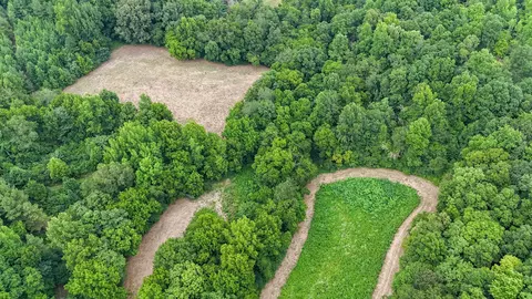 View/Area - 439 Appleton Rd, Five Points, TN 38457 photo 11 of 11