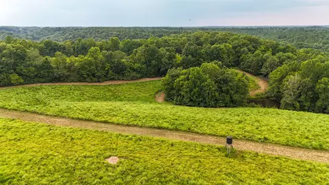 View/Area - 439 Appleton Rd, Five Points, TN 38457 photo 3 of 11