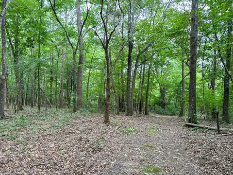 Other - 439 Appleton Rd, Five Points, TN 38457 photo 29 of 37