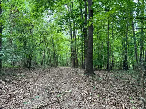 Other - 439 Appleton Rd, Five Points, TN 38457 photo 30 of 37