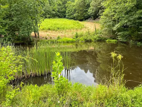 View/Area - 439 Appleton Rd, Five Points, TN 38457 photo 9 of 11