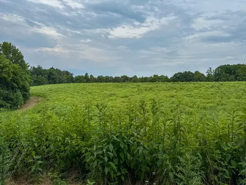 Other - 439 Appleton Rd, Five Points, TN 38457 photo 26 of 37