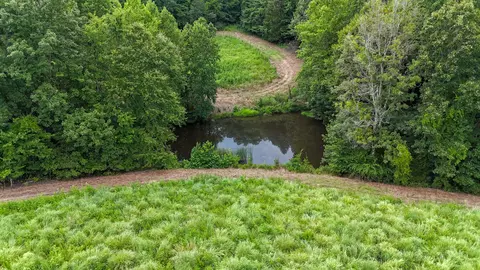 View/Area - 439 Appleton Rd, Five Points, TN 38457 photo 6 of 11