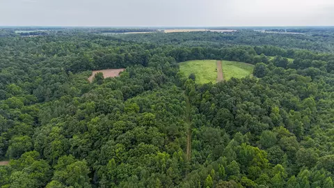 View/Area - 439 Appleton Rd, Five Points, TN 38457 photo 2 of 11