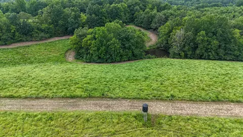 View/Area - 439 Appleton Rd, Five Points, TN 38457 photo 4 of 11