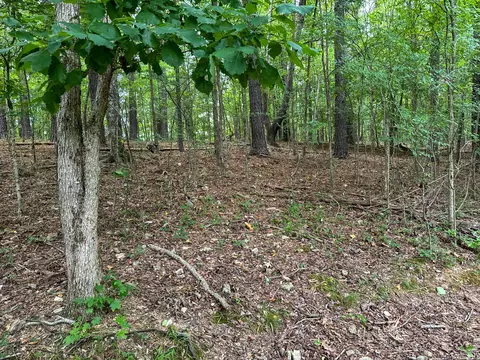 Other - 439 Appleton Rd, Five Points, TN 38457 photo 31 of 37