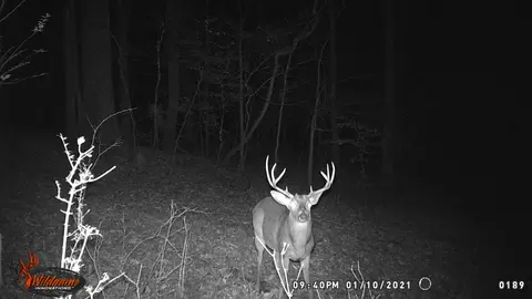 Other - 439 Appleton Rd, Five Points, TN 38457 photo 35 of 37