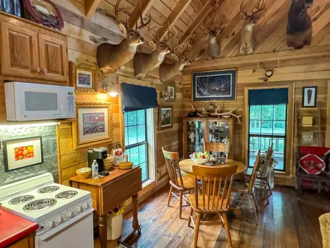Dining - 439 Appleton Rd, Five Points, TN 38457 photo 1 of 1