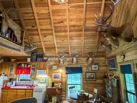 Other - 439 Appleton Rd, Five Points, TN 38457 photo 7 of 37