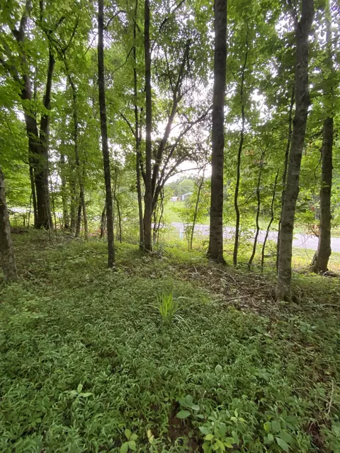 60 Th Ave S, Gruetli Laager, TN 37339