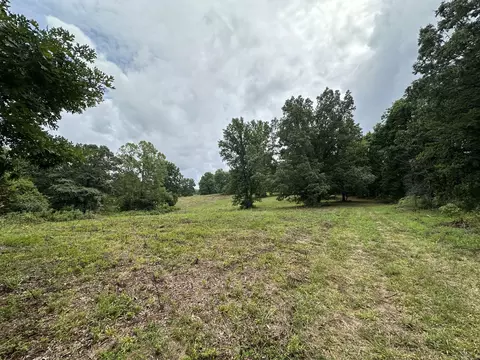 0 Darrell Rye Ln, Erin, TN 37061