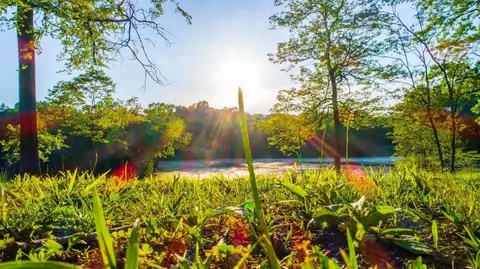 0 Forest Retreat Rd, Hendersonville, TN 37075