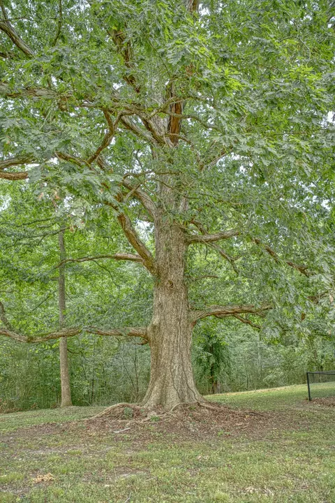 Other - 2139 Austin Bottom Rd, Baxter, TN 38544 photo 10 of 12