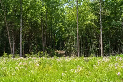 433 Sid Summers Rd, Stewart, TN 37175 photo 16