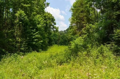 433 Sid Summers Rd, Stewart, TN 37175 photo 6