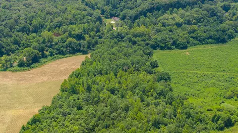 433 Sid Summers Rd, Stewart, TN 37175 photo 52