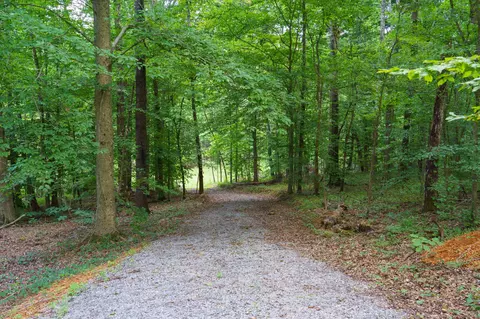 433 Sid Summers Rd, Stewart, TN 37175 photo 10