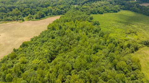 433 Sid Summers Rd, Stewart, TN 37175 photo 48