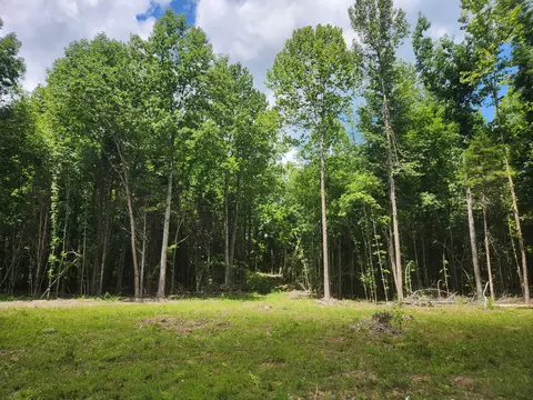 433 Sid Summers Rd, Stewart, TN 37175 photo 63