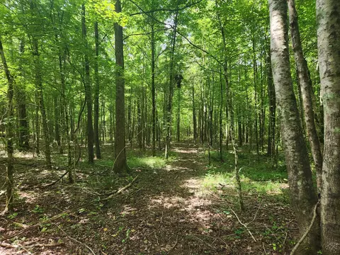433 Sid Summers Rd, Stewart, TN 37175 photo 64